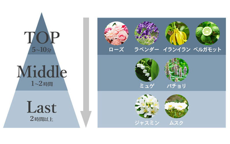 エスハートエス Sasso プロケア シャンプー 香り