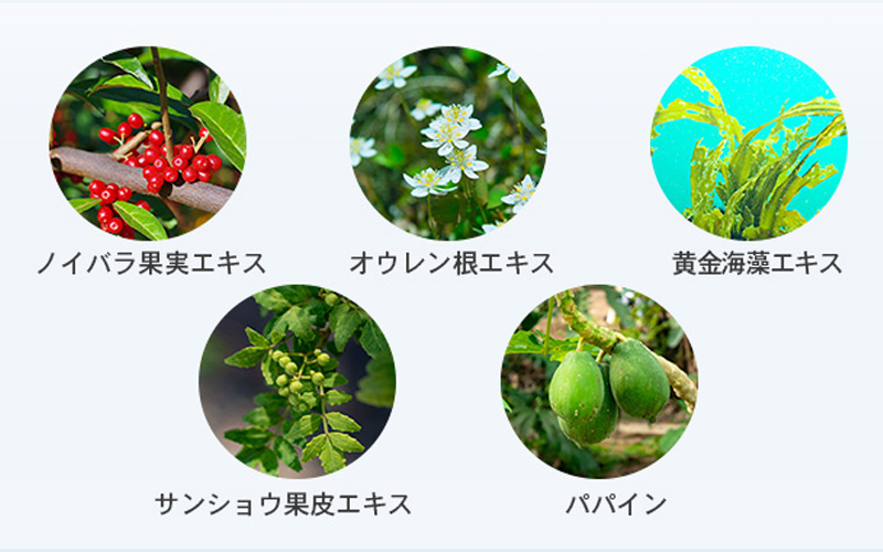 エスハートエス Sasso プロケア シャンプー 成分