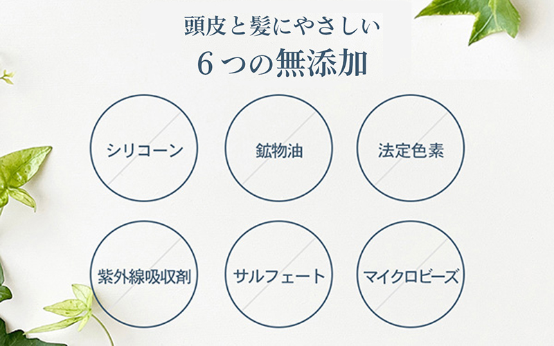 エスハートエス Sasso プロケア シャンプー 無添加