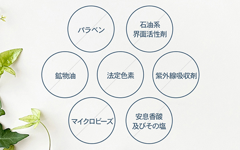 エスハートエス Sasso プロケア トリートメント 無添加