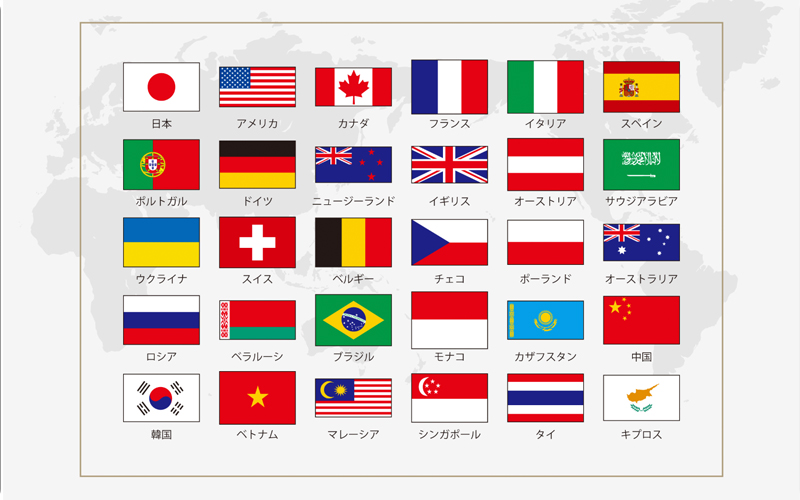 エスハートエス　スカルプブラシ　世界
