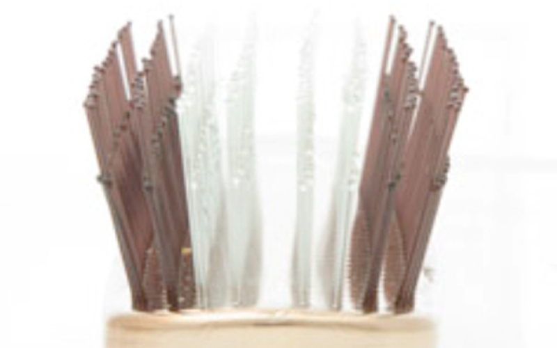 スカルプブラシ 先玉ピン