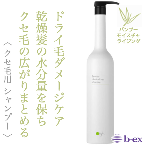 ビーエックス オーライト シャンプーBB 1000ml