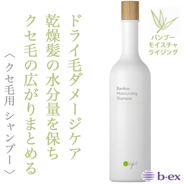 ビーエックス オーライト シャンプーBB 400ml