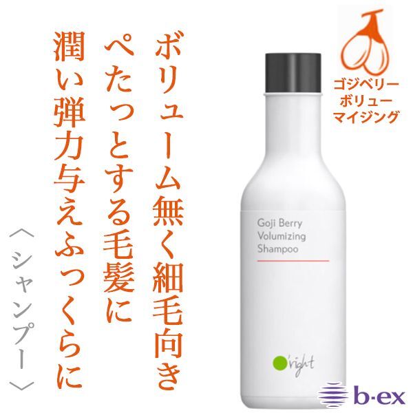 ビーエックス オーライト シャンプーGB 100ml