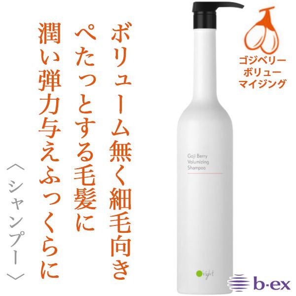 ビーエックス オーライト シャンプーGB 1000ml