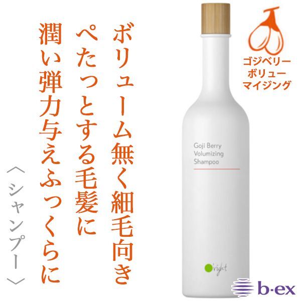 ビーエックス オーライト シャンプーGB 400ml