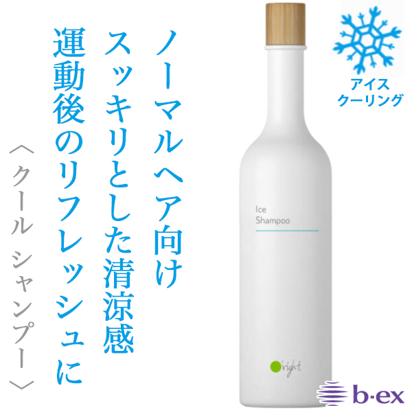 ビーエックス オーライト シャンプーICE 400ml