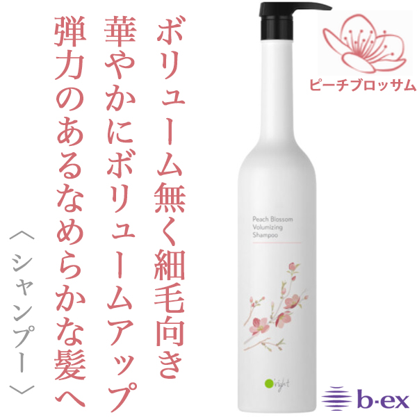 ビーエックス オーライト シャンプーPB 1000ml