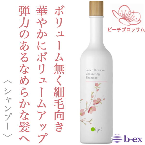 ビーエックス オーライト シャンプーPB 400ml