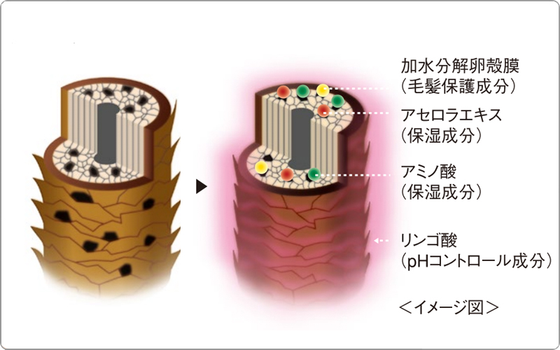 デミ　ヘアシーズンズ　成分