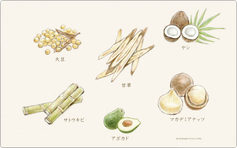 デミ ユントとは
