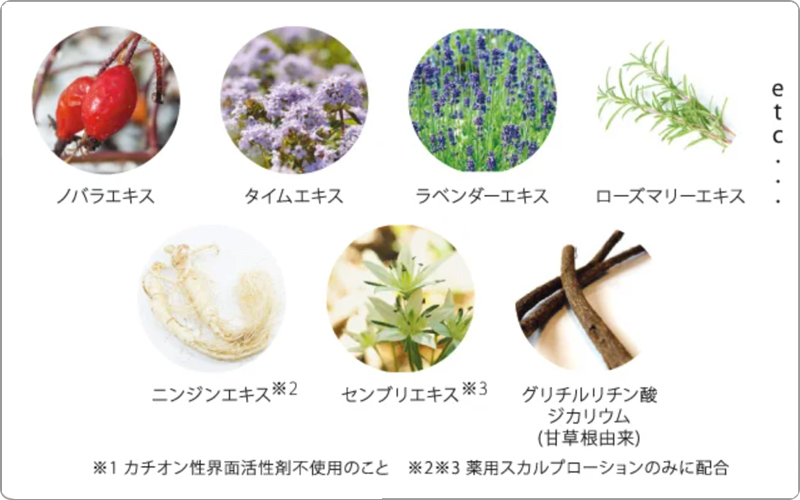 ハホニコマイブ　有効成分