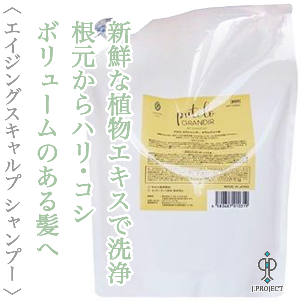 プテロ ARシャンプー グランディール 1500ml
