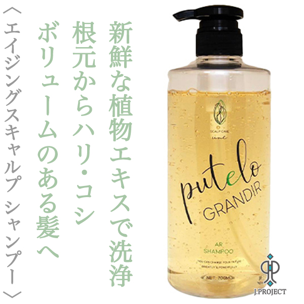 プテロ ARシャンプー グランディール 700ml