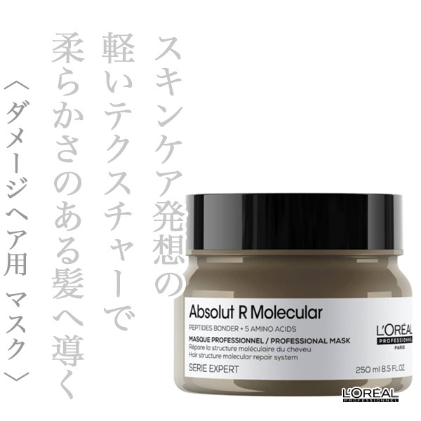 ロレアル セリエ アブソルートR.モレキュラー マスク 250g