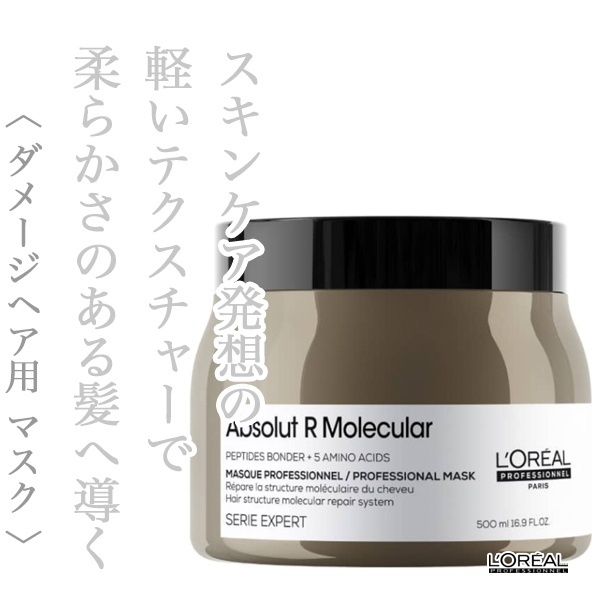 ロレアル セリエ アブソルートR.モレキュラー マスク 500g