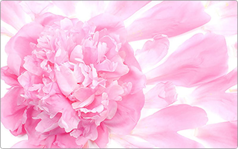 ミルボン ジェミールフラン香り