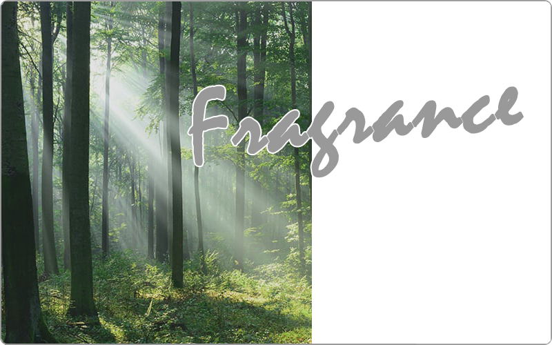 ミルボン　オーバイトーリ　香り