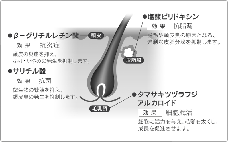 ナカノ　フォリッジ　とは
