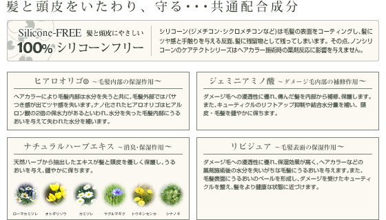 ナプラ ケアテクトHB