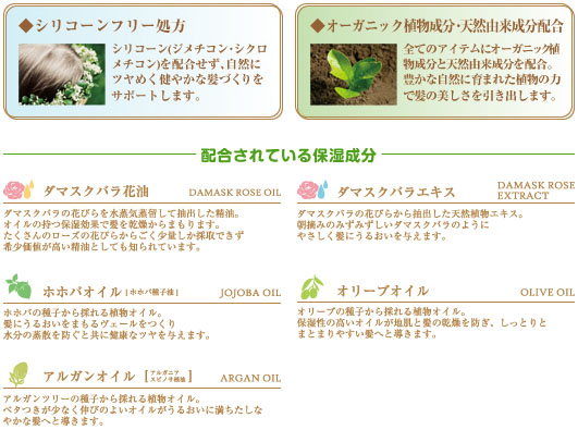 ケアテクトOG ポイント