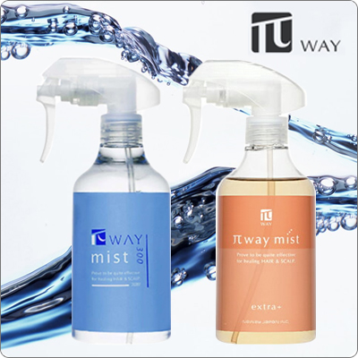 ニューウェイジャパン　パイウェイミスト” width=