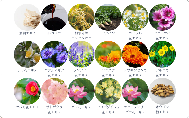 ナンバースリー　人が花　成分