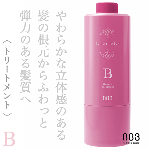 ナンバースリー ミュリアム トリートメントB 620g