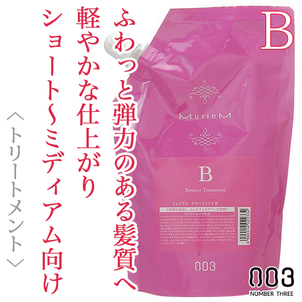 ナンバースリー ミュリアム トリートメントB 500g