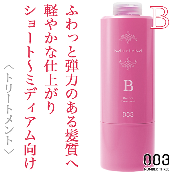 ナンバースリー ミュリアム トリートメントB 620g