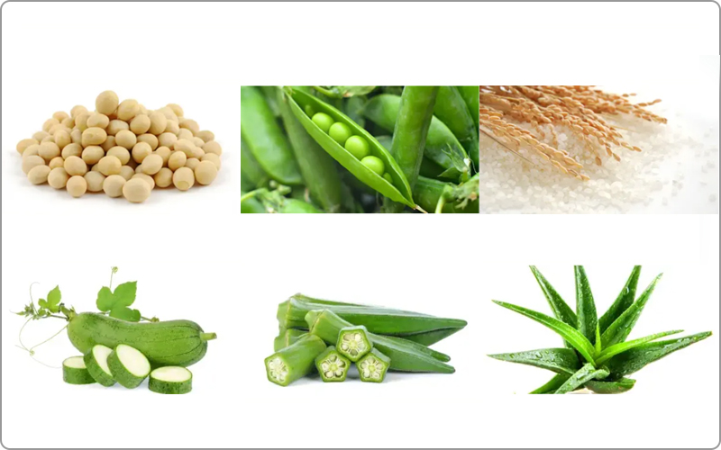 ピアセラボ　エアンス　植物の力