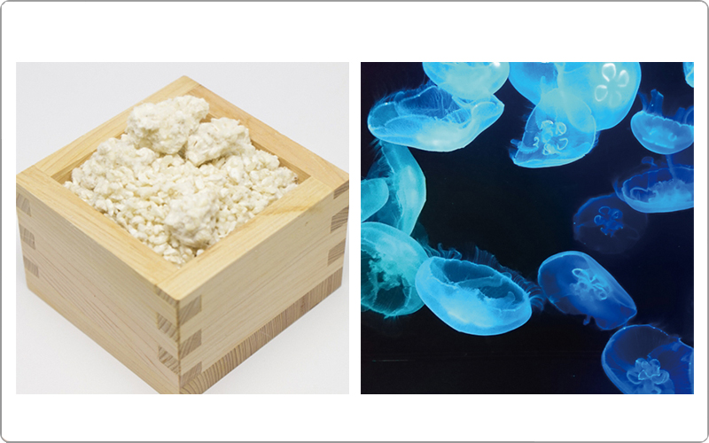 セフティ　ソノ　コラーゲン