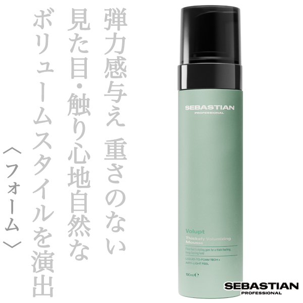 セバスティアン シックファイ フォーム 190ml