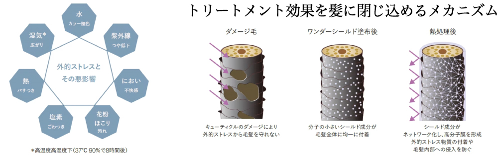 サブリミック ワンダーシールド