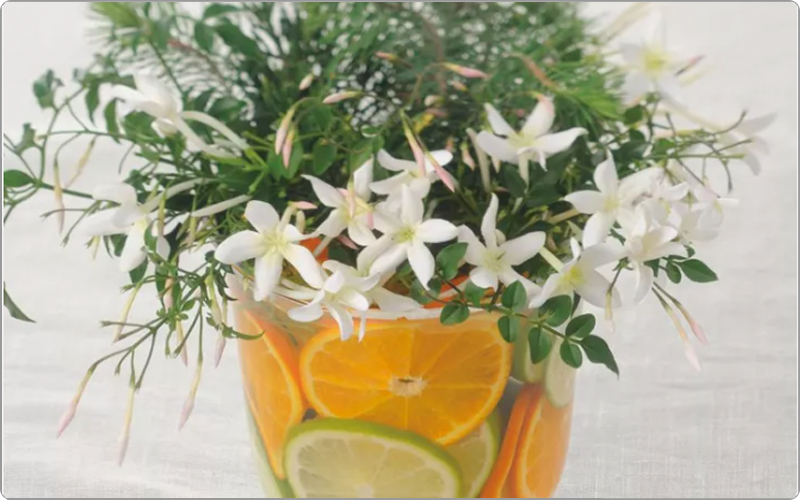 資生堂　アデノバイタル香り