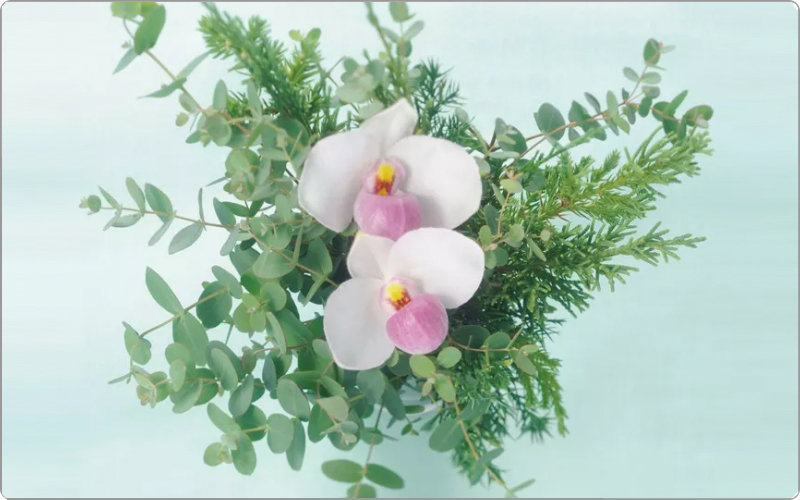 資生堂　フェンテフォルテ香り