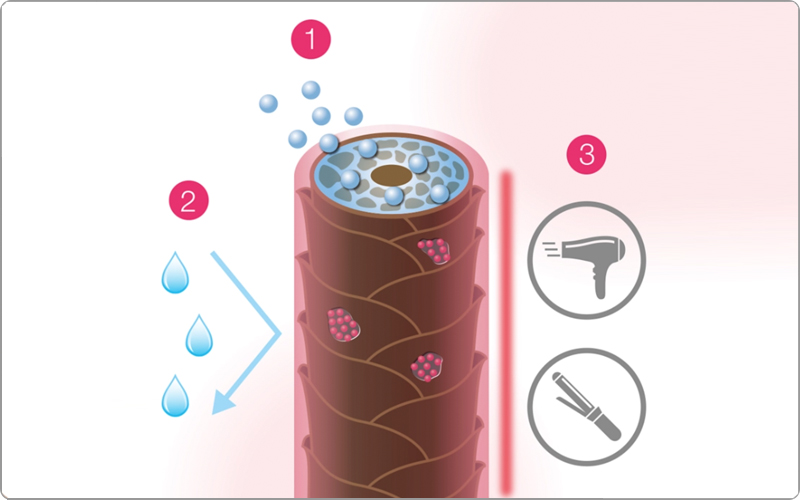 資生堂　リファイニンググロウ　テクノロジー