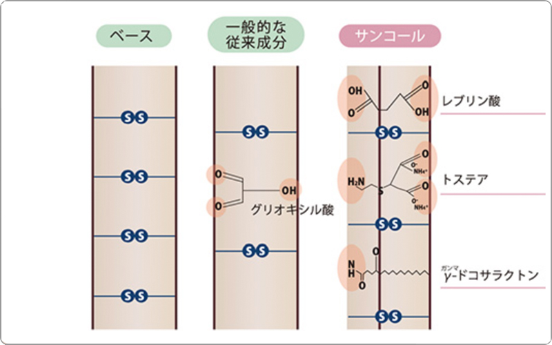 サンコール　ファルジュア