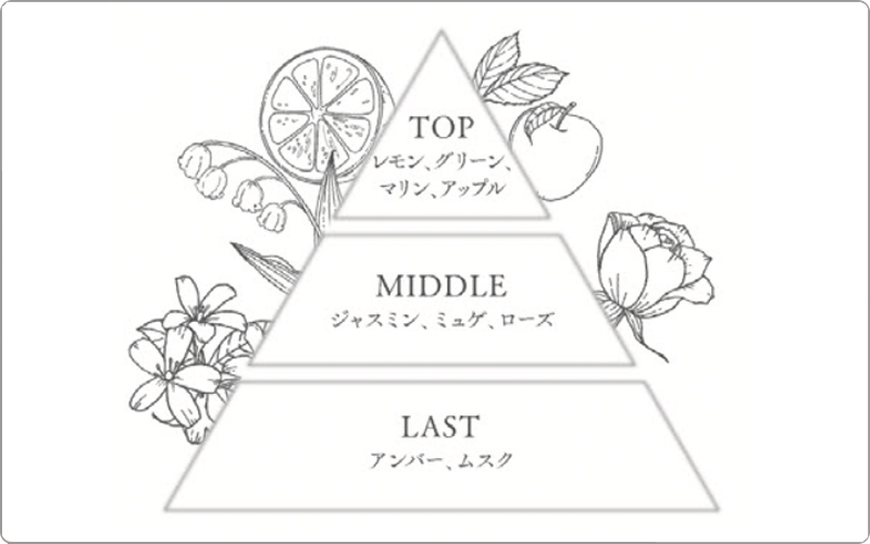 サンコール ファルジュア