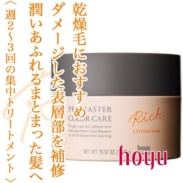 ホーユー プロマスターカラーケア リッチ ラスティング マスク 440g