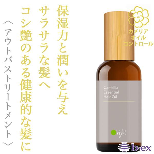 HUE ○ 2本セット ナンバースリー ヒュウケア ヘアオイル 115ml